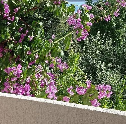 Dvorski Apartman Mandre