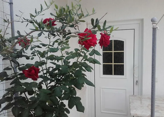 Dvorski * Мандре